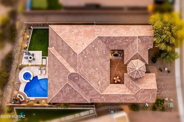 bird's eye view
