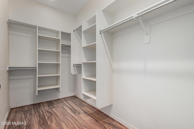 spacious closet featuring wood finished floors