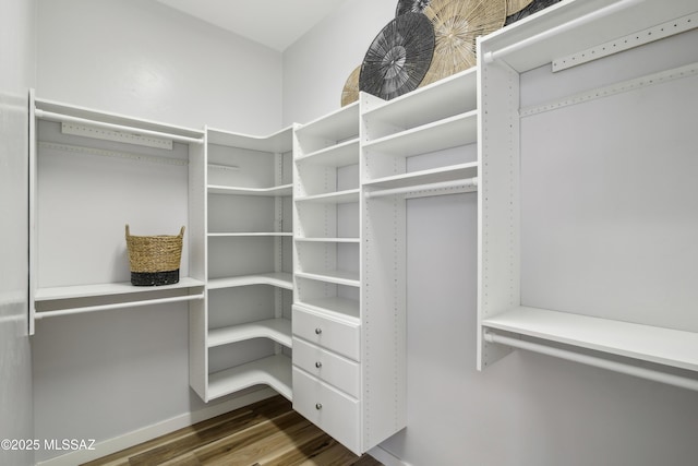 walk in closet featuring dark wood-type flooring