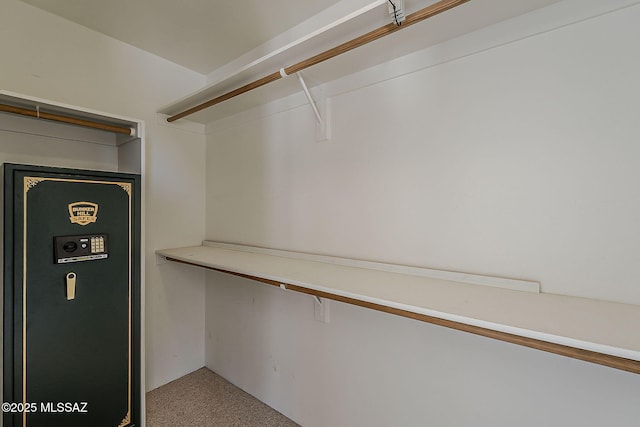 4247 W Flying Diamond Dr, Tucson, AZ 85742 - spacious closet with carpet