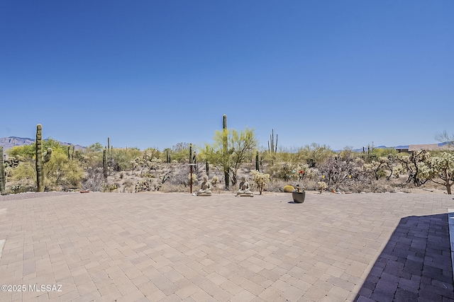 4247 W Flying Diamond Dr, Tucson, AZ 85742 - view of patio