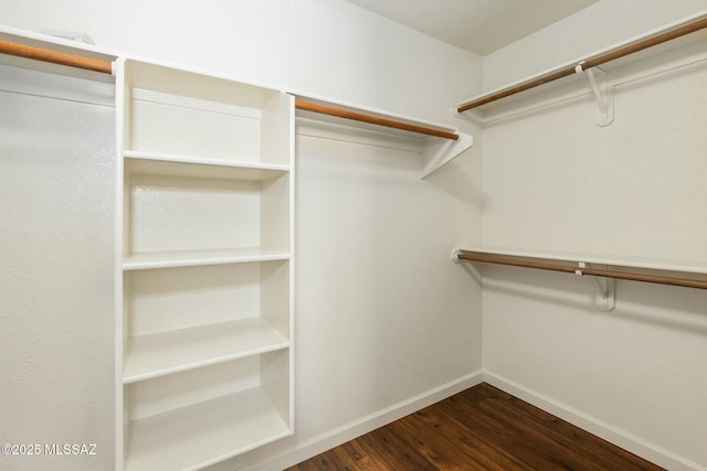 spacious closet with dark wood-type flooring