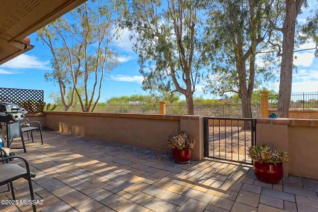14045 N Desert Butte Dr, Oro Valley, AZ 85755 - view of patio featuring a fenced backyard and area for grilling