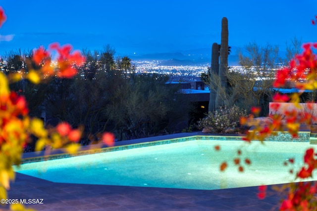 view of outdoor pool