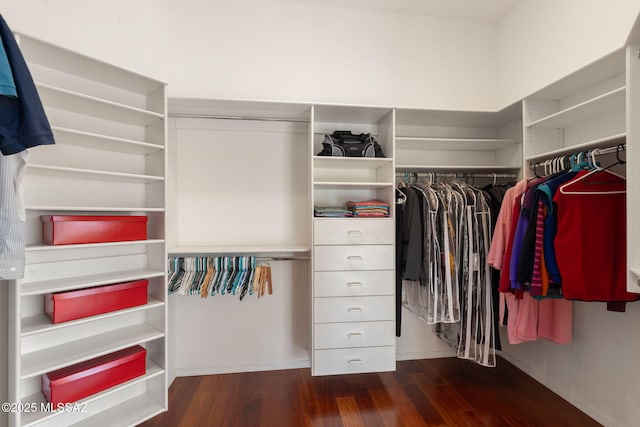 spacious closet featuring wood finished floors