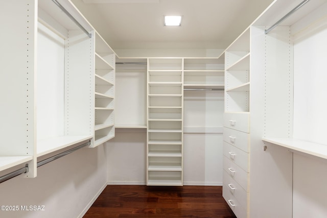 spacious closet featuring dark wood-type flooring
