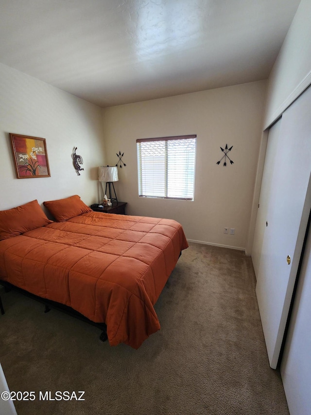 60464 E Blackcrest Loop, Tucson, AZ 85739 - bedroom featuring carpet floors and a closet