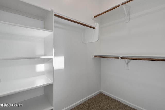 3352 W Shadow Park Way, Tucson, AZ 85742 - spacious closet featuring carpet flooring