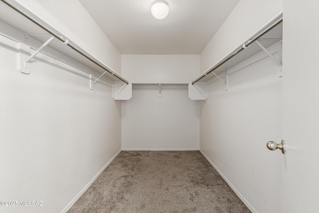 spacious closet with carpet flooring