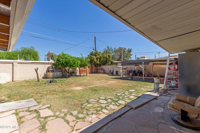 view of yard featuring a patio area and a fenced backyard