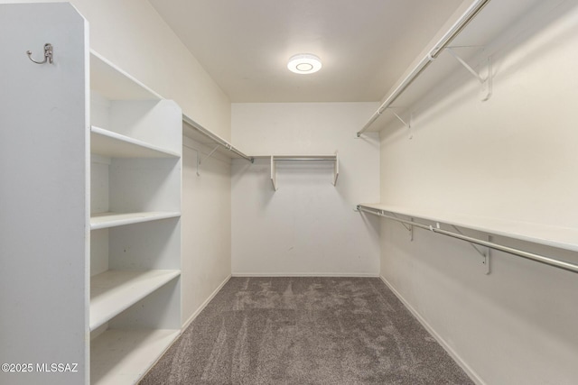 walk in closet featuring carpet flooring