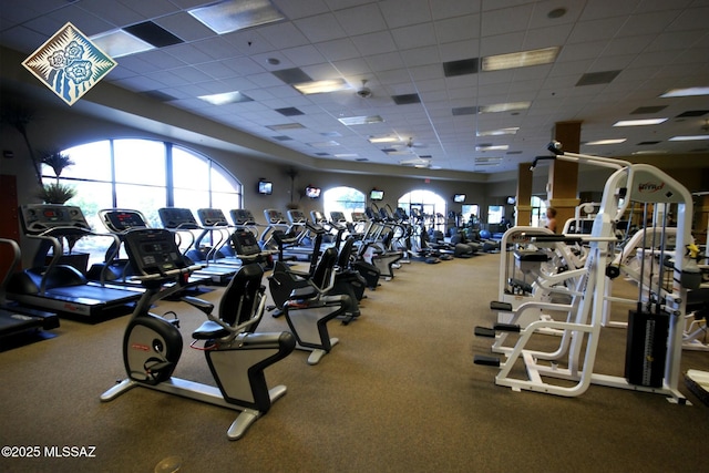 workout area featuring carpet floors, a wealth of natural light, and a drop ceiling