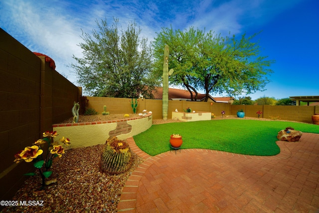 view of yard with a fenced backyard and a patio