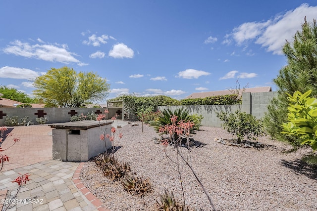 view of yard featuring a fenced backyard and a patio