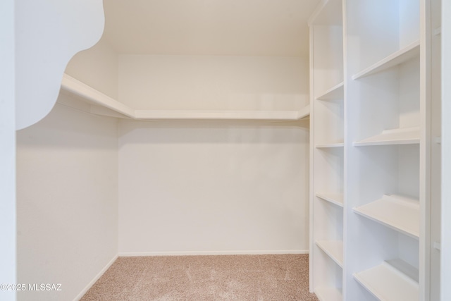 spacious closet with carpet