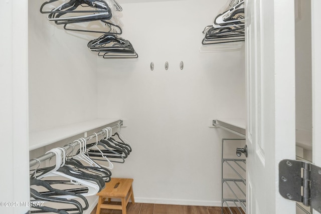 walk in closet featuring wood finished floors