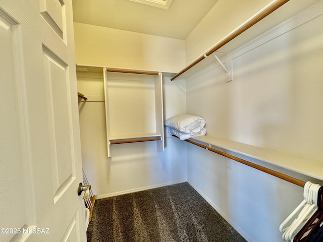 walk in closet featuring dark carpet