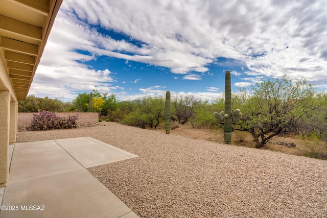view of yard with a patio area