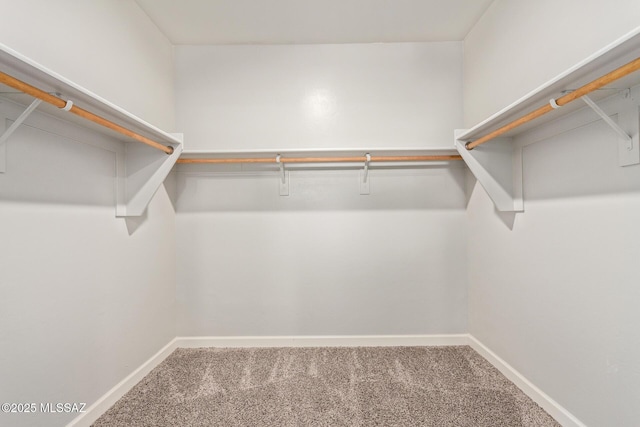 spacious closet with carpet flooring