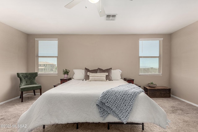 9528 S Desert Fauna Loop, Tucson, AZ 85747 - bedroom featuring light carpet, multiple windows, and baseboards