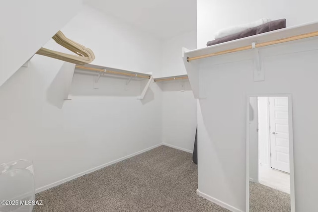 spacious closet featuring carpet