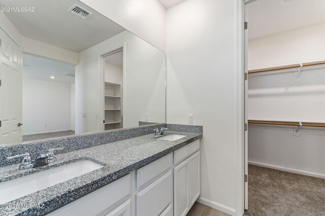 10394 S Cienega Knolls Loop, Vail, AZ 85641 - full bath with double vanity, a spacious closet, and baseboards