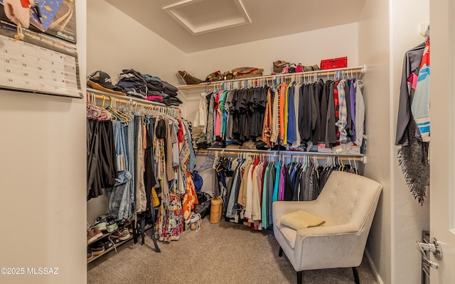13274 Humphreys Peak Dr, Oro Valley, AZ 85755 - spacious closet featuring attic access and carpet