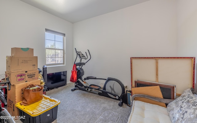 13274 Humphreys Peak Dr, Oro Valley, AZ 85755 - workout area with carpet flooring