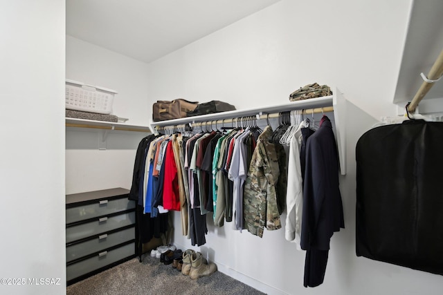 walk in closet with carpet floors