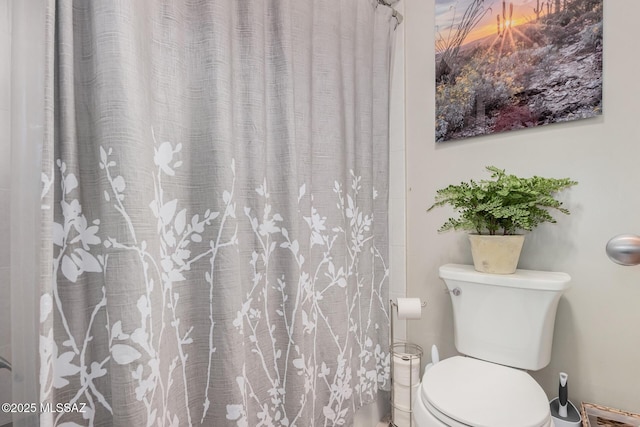 bathroom featuring toilet and a shower with curtain