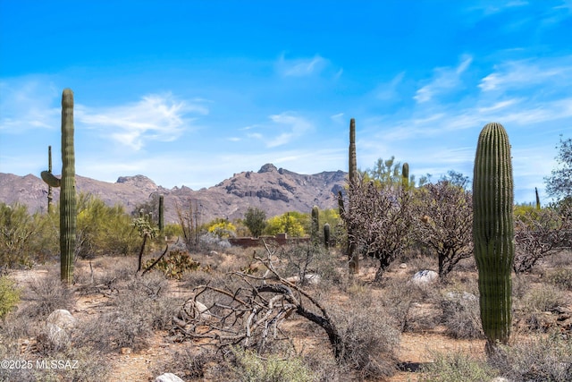 property view of mountains