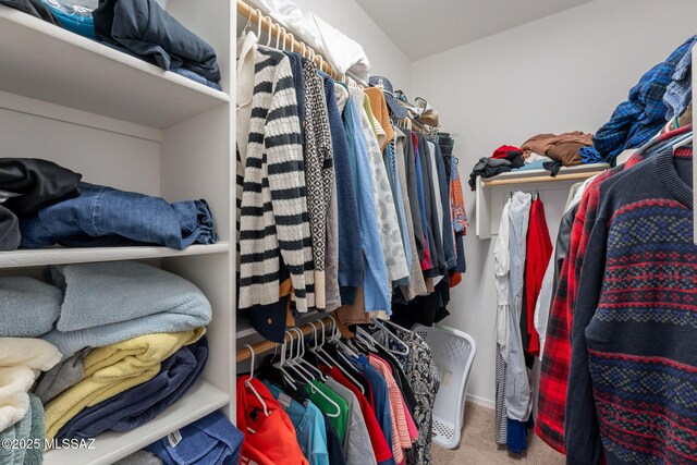 walk in closet with carpet