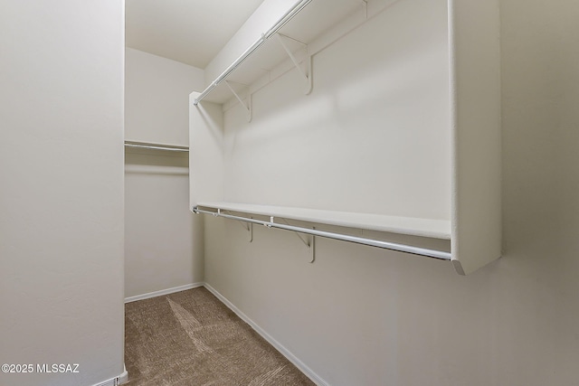 spacious closet with carpet