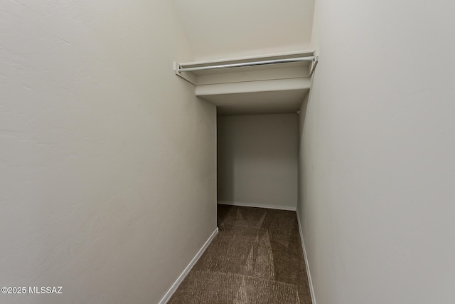 walk in closet with carpet floors