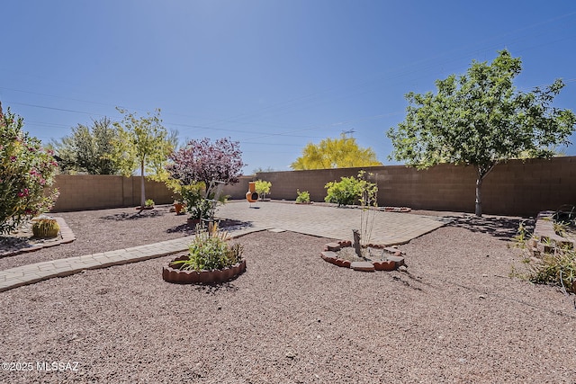 view of yard with a patio and a fenced backyard