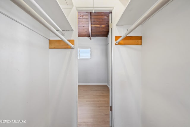 spacious closet featuring wood finished floors