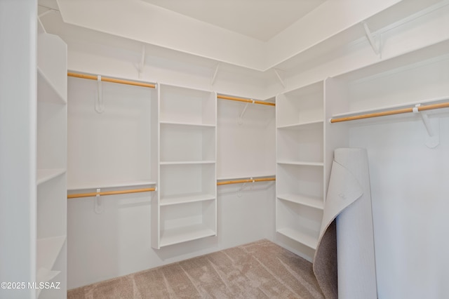 walk in closet featuring carpet flooring