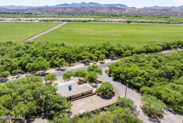 1351 Alma Ct, Rio Rico, AZ 85648 - drone / aerial view with a mountain view and a rural view