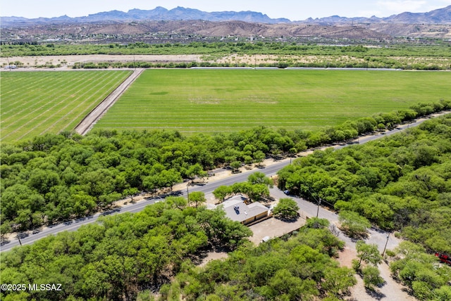 1351 Alma Ct, Rio Rico, AZ 85648 - birds eye view of property featuring a rural view and a mountain view