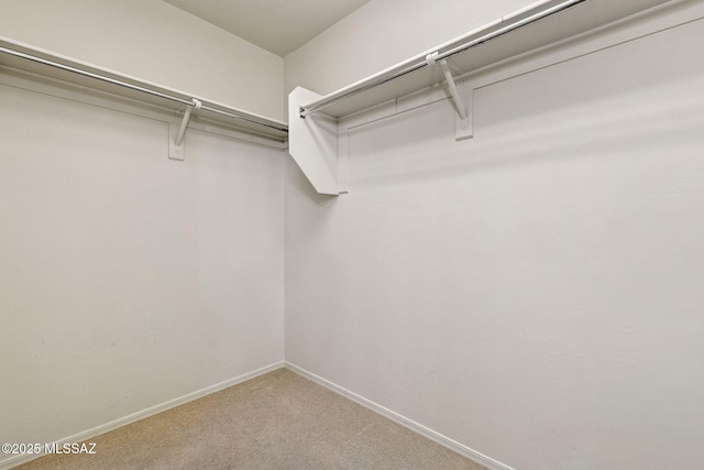 walk in closet featuring carpet flooring