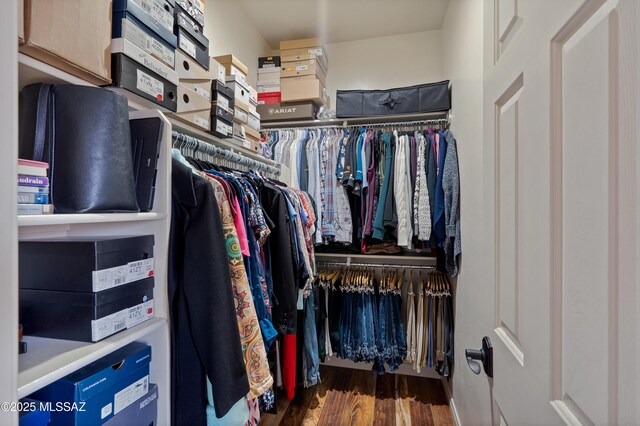 12489 N Owl Head Canyon Rd, Marana, AZ 85658 - walk in closet featuring wood finished floors