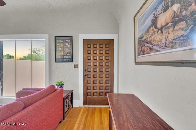 2716 E 6th St, Tucson, AZ 85716 - entryway featuring a textured wall and light wood-type flooring