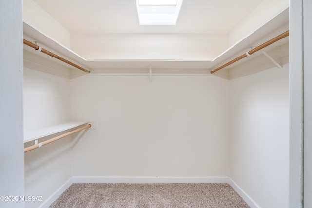 38 N Irving Ave, Tucson, AZ 85711 - walk in closet with carpet floors