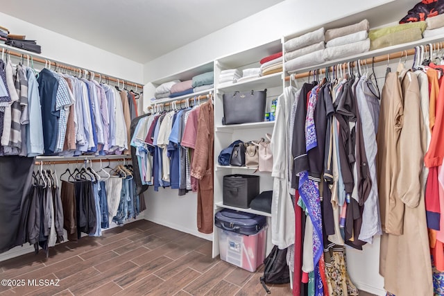 walk in closet featuring wood finished floors