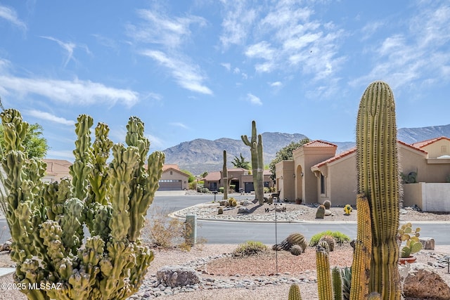 view of yard with a mountain view and a residential view