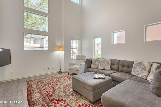 living room with baseboards, a high ceiling, and wood finished floors