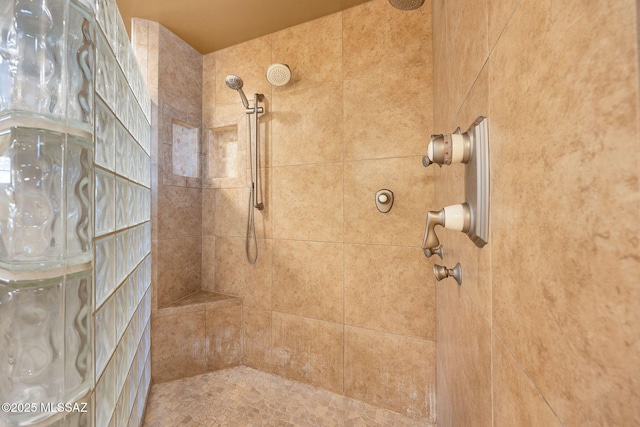 901 W Las Lomitas Rd, Tucson, AZ 85704 - full bath featuring a tile shower