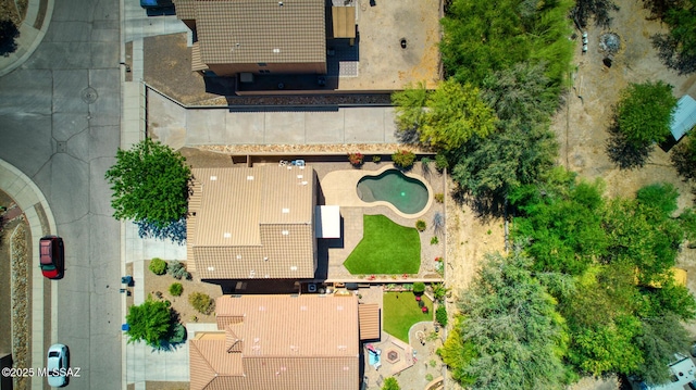 drone / aerial view
