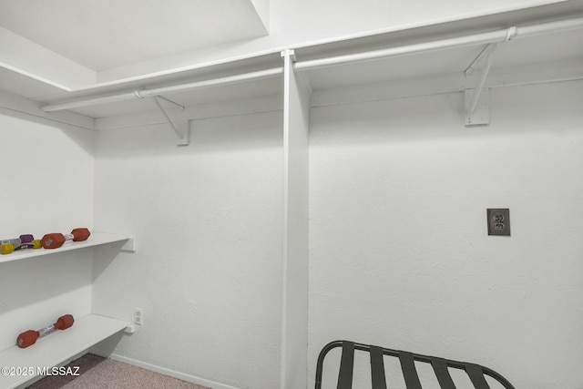 5122 W Camino De La Amapola, Tucson, AZ 85745 - spacious closet featuring carpet floors