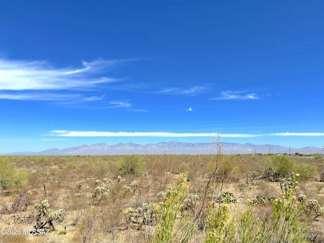 10211 E Hummingbird Meadow Way, Tucson, AZ 85747 - mountain view